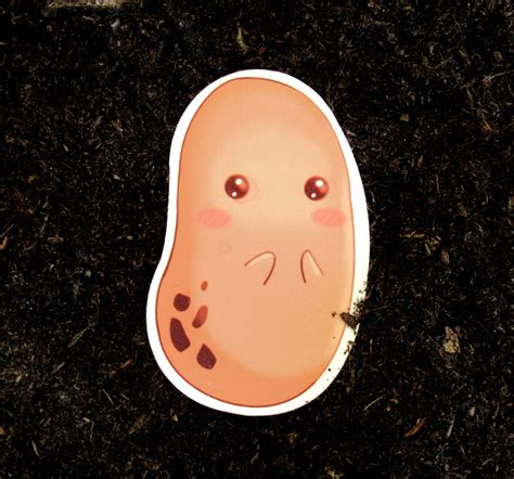 Potato Illustration Vinyl Sticker Etsy