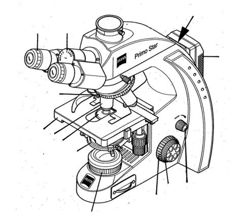 Microscope Diagram Diagram Quizlet