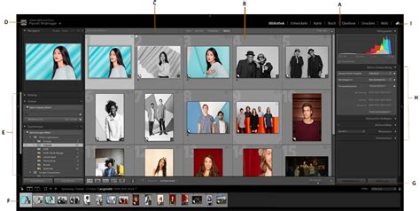 Affichage Et Organisation De Photos Dans Lightroom Classic