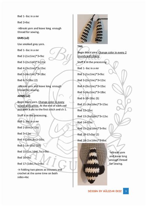 The Raccoon Pattern Design