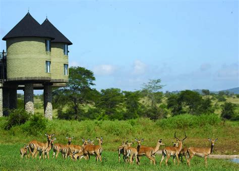 Salt Lick Safari Lodge