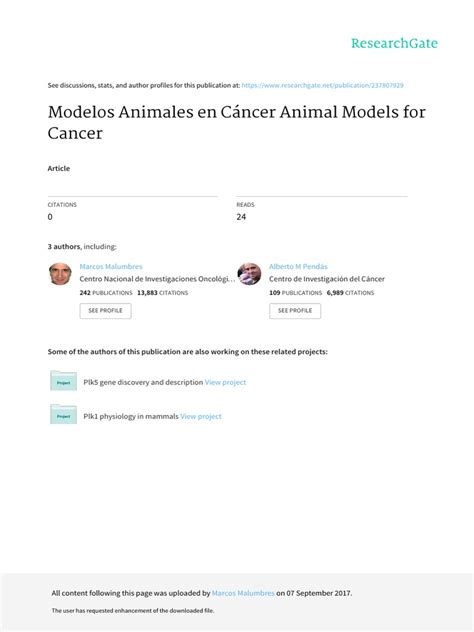 Modelos Animales En Cancer Animal Models For Cance Pdf Pdf