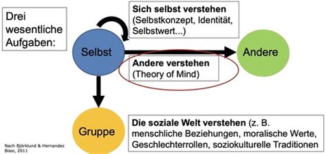 Epsy I Vorlesung 6 Soziale Kognition Intelligenz Karteikarten Quizlet