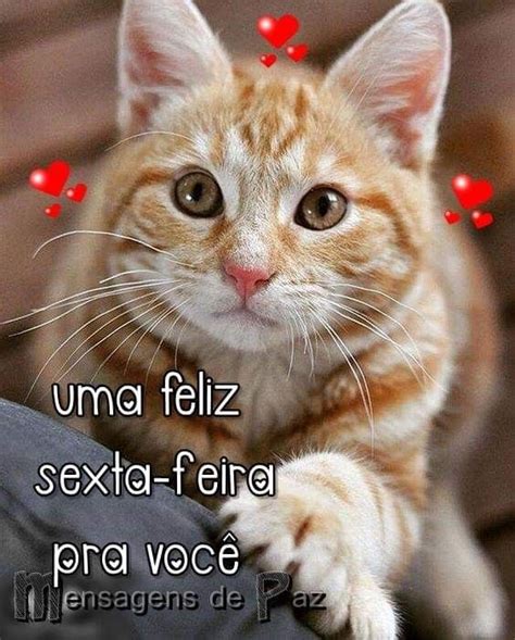 Pin De Angenira Lennon Em Bom Diatardenoite Feliz Sexta Bom Dia Gato Feliz Sexta Feira