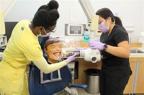 Dental Assistant Training Program Admissions | School of Dental Medicine