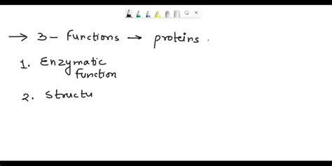 Solved Proteins Name Three Of The Many Functions That Proteins Perform