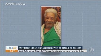 Idoso de 79 anos morre após ser atacado por abelhas em propriedade