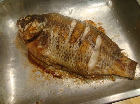 Grilled Tilapia With Fresh Shito Ghanas Hot Salsa Grilled Tilapia