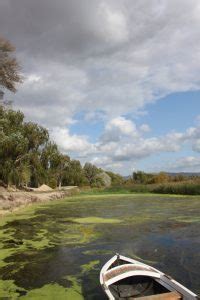 Declaració Institucional del Consell Comarcal de la Ribera dEbre sobre