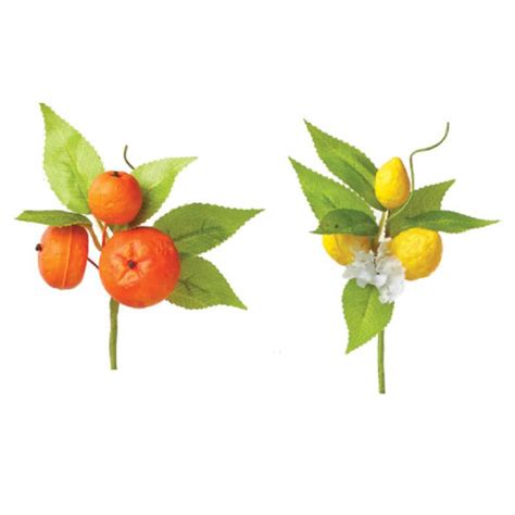 Branch with fruit 14cm | Siganos Pack