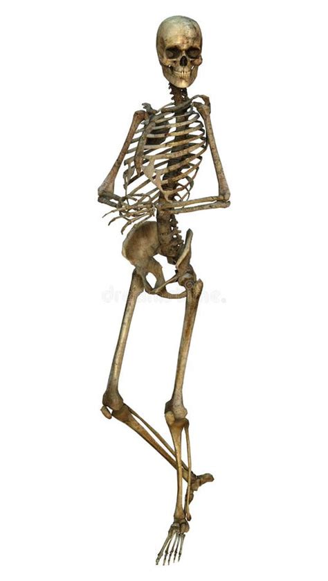 Skeleton Holding Something Stock Illustration Illustration Of Bones