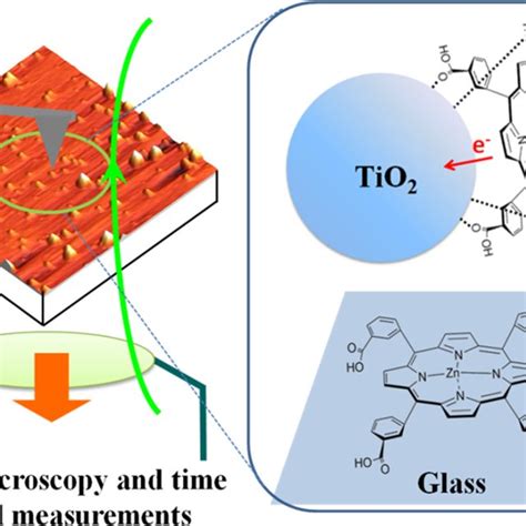 Correlated Afm−fluorescence Intensity And Lifetime Data Fluorescence