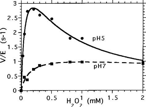 Effect Of H 2 O 2 Concentration On The Initial Rate Ve Of P Tolyl