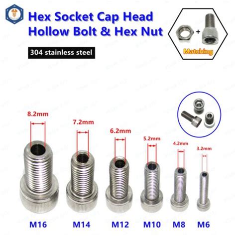 M6 M8 M10 M12 M14 M16 Hex Socket Cap Head Hollow Screws Bolt With Nuts