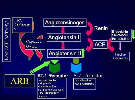 Angiotensin Receptor Blockers