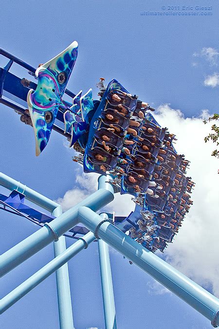 Riders Inflight | Manta, SeaWorld Orlando