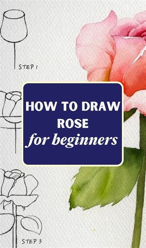 How To Draw A Rose In 2024 Roses Drawing Rose Step By Step Rose