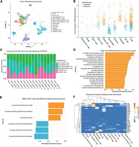 Single Cell Analysis Of Cd Tnfrsf Expressing T Cells A Uniform