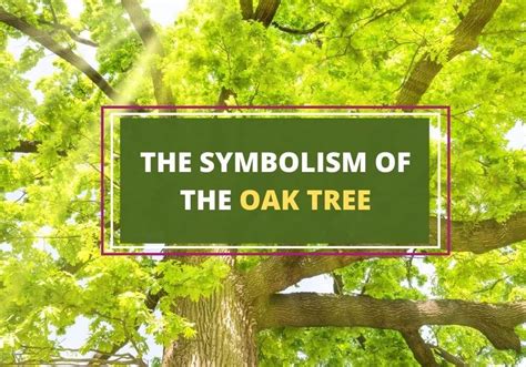 Oak Tree Symbols