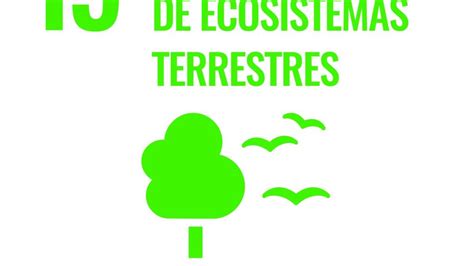 Ods 15 Vida De Ecosistemas Terrestres