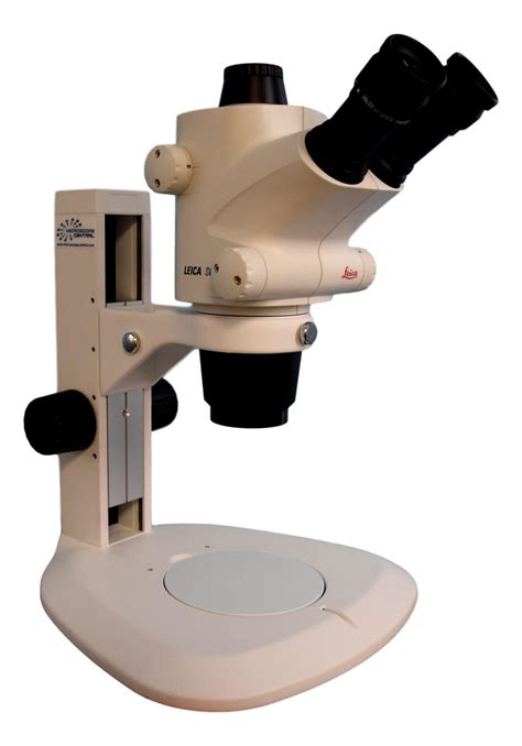 Leica S6 D Trinocular Stereo Zoom Microscope Leica Microscopes