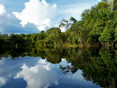 Amazon River Reflections, Brazil