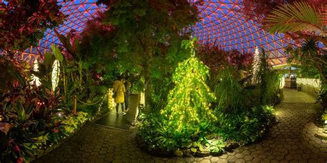 Bloedel Conservatory Christmas 2024 Tickets - Eddie Costanza