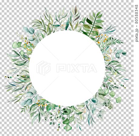 Watercolor botanical green leaves frame のイラスト素材 80588348 PIXTA