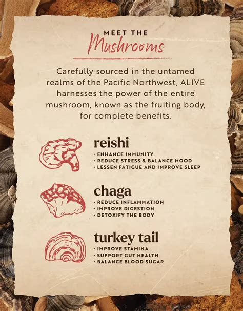 Alive Ancient Mushroom Elixir Adaptogenic Teas Gt S Living Foods