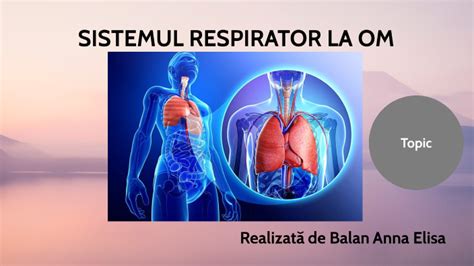 Sistemul Respirator La Om By Paustin Balan On Prezi