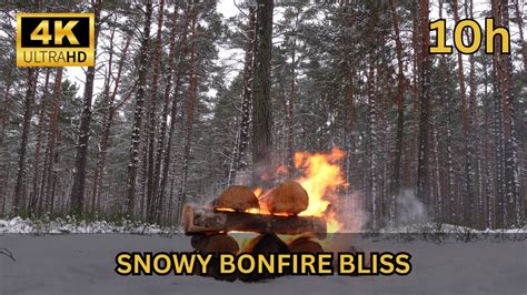 Snowy Forest Campfire 10 Hours Of Crackling Fire Winter Ambiance 4K