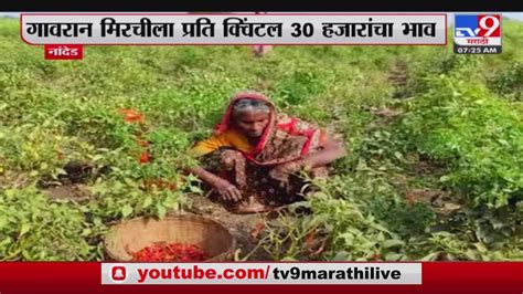 Nanded Breaking नांदेड गावरान मिरचीला प्रति क्विंटल 30 हजारांचा भाव Youtube