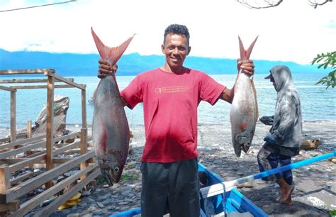 Para Nelayan Maluku Membuktikan Industri Tuna Harusnya Tak Perlu