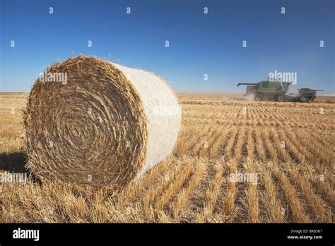 Hay Bale And Combine In Cut Field Alberta Canada Stock Photo Alamy