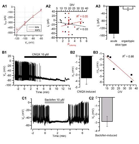 1 4 I H Current Properties Of Gfp Positive Neurons In Organotypic