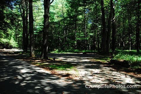 Davidson River - Campsite Photos, Reservations & Campground Info