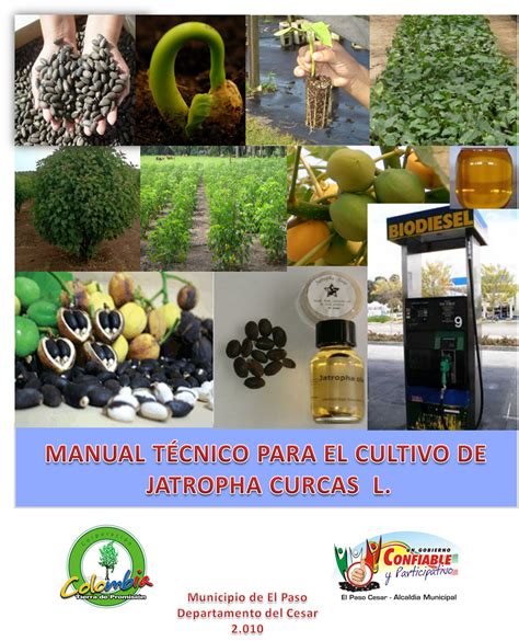 CORPORACION COLOMBIA Tierra de Promisión MANUAL TÉCNICO PARA EL