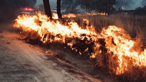 Continúa activo el incendio en paraje Ciudad Cajetes en Bosque de La