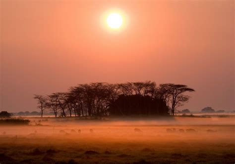 Safari In Kafue National Park Horizon Guides