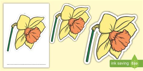 Large Daffodil Cut Out Teacher Made Twinkl