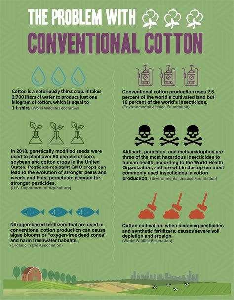 Regenerating Cotton Solutions Green America