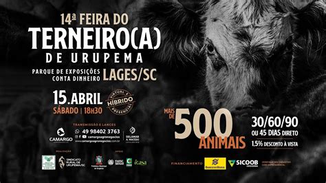 Feira Do Terneiro E Terneira De Urupema Sc Youtube