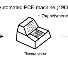 Pcr Machine Principle Parts Steps Types Uses Examples Off