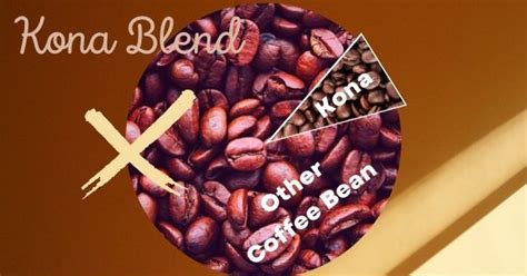 The 5 Best Kona Coffee Beans Everything You Need To Know