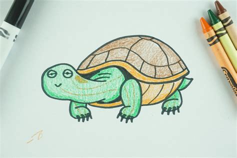 ️ How To Draw A Turtle