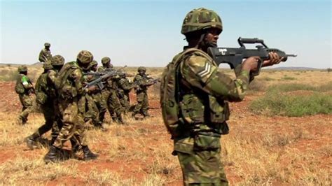 African countries create force to fight together - BBC News