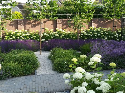 Strakke Tuin Met Paars Witte Borders