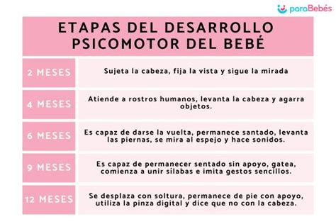 Cuales Son Las 6 Etapas Del Desarrollo Sensoriomotor