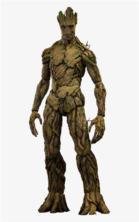 Hot Toys Groot Sixth Scale Figure Big Groot Guardians Of The Galaxy