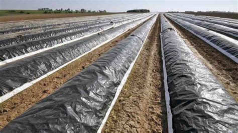 Mf0517 1 Operaciones Auxiliares De Preparación Del Terreno Plantación